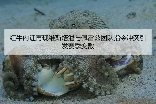 红牛内讧再现维斯塔潘与佩雷兹团队指令冲突引发赛季变数