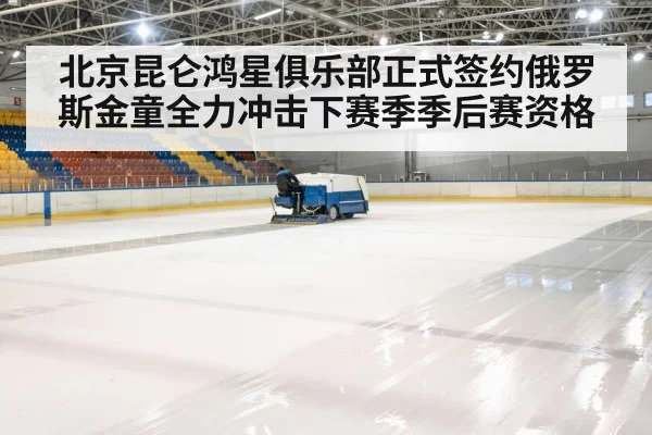 hockey rink arena